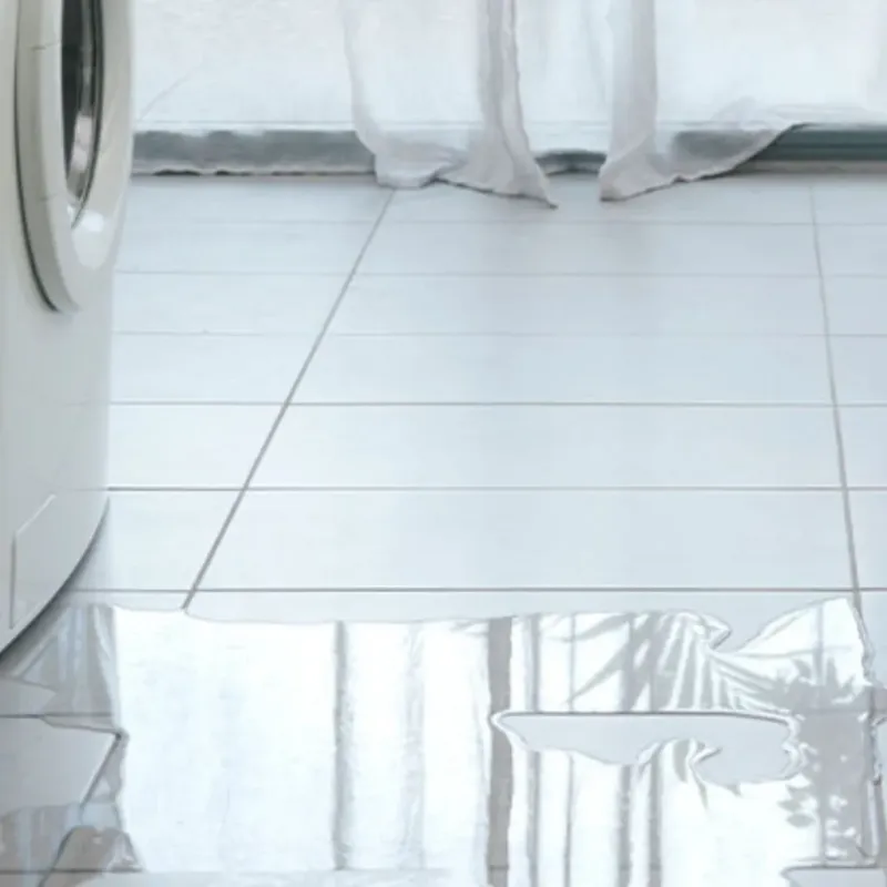 Appliance Leak Cleanup in Barnstead, NH
