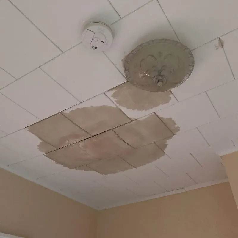 Ceiling Water Damage Repair in Barnstead, NH