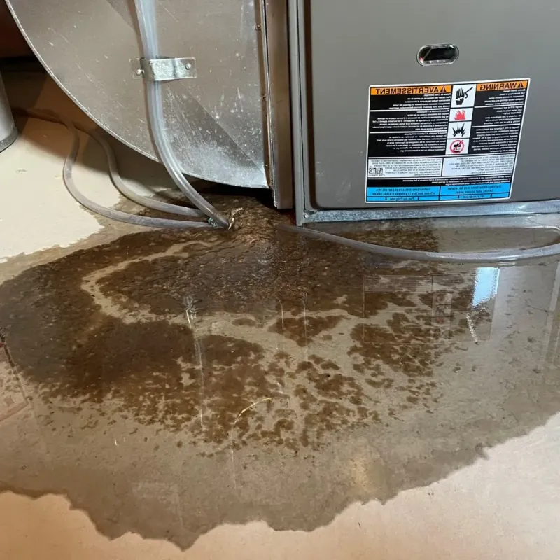 Pipe Burst and Leak Restoration in Barnstead, NH